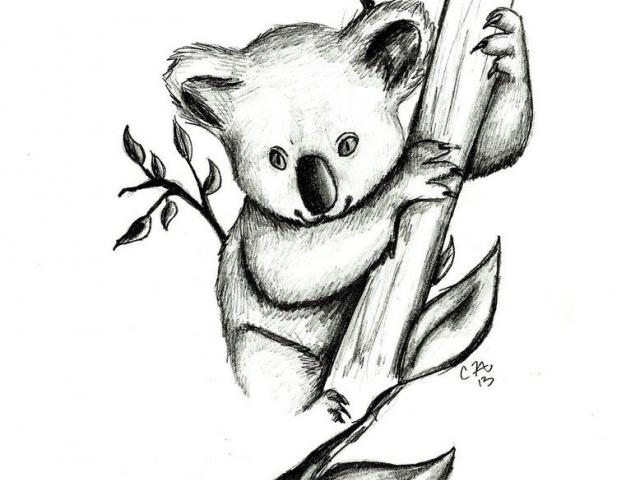 Koala Line Drawing | Free download on ClipArtMag