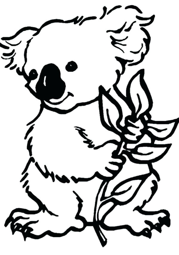 600x851 Koala Animals Printable Coloring Pages Coloring