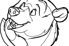 236x157 Koala Bear Face Drawing Easy Black Cartoon Iydunetwork