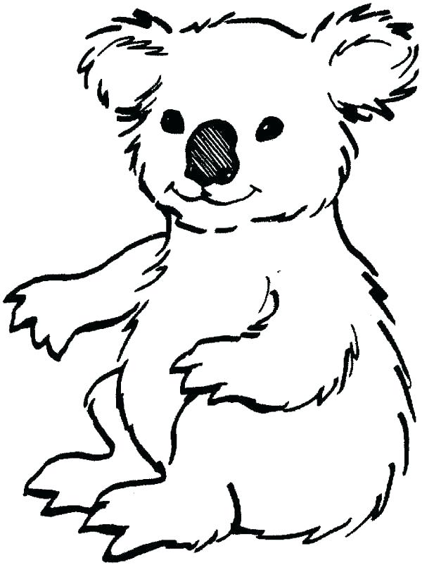 Koala Line Drawing | Free download on ClipArtMag