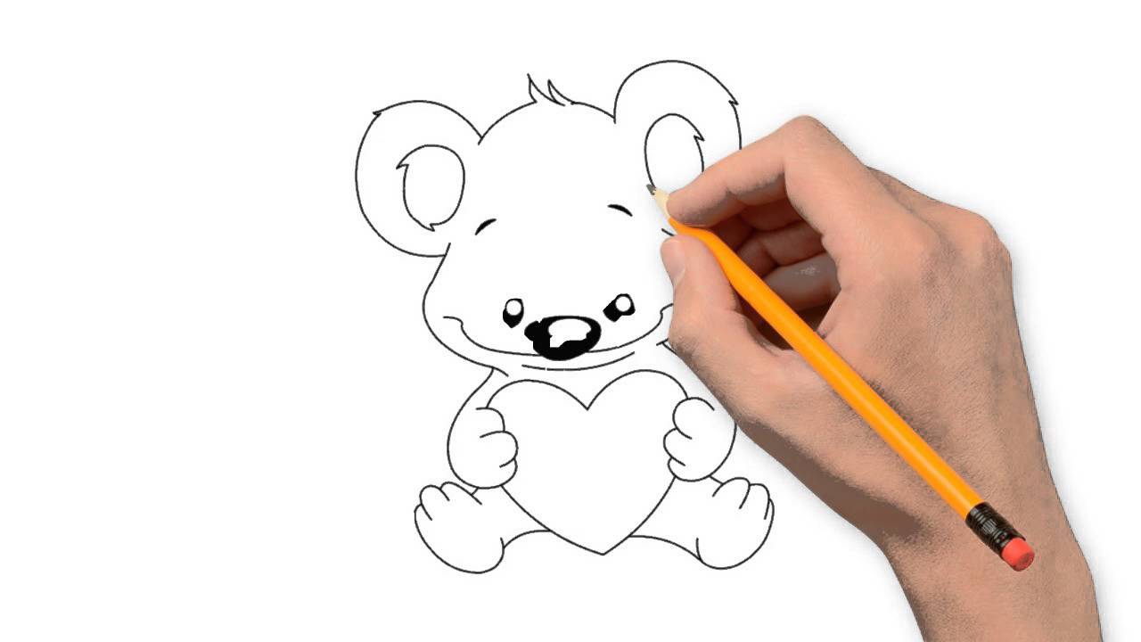 1280x720 Koala Animals Pencil To Draw Step