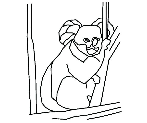600x500 Koala Outline