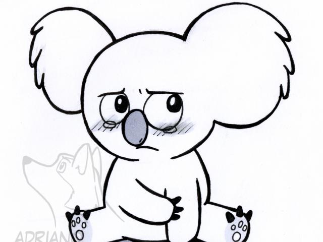 640x480 Free Drawn Koala, Download Free Clip Art