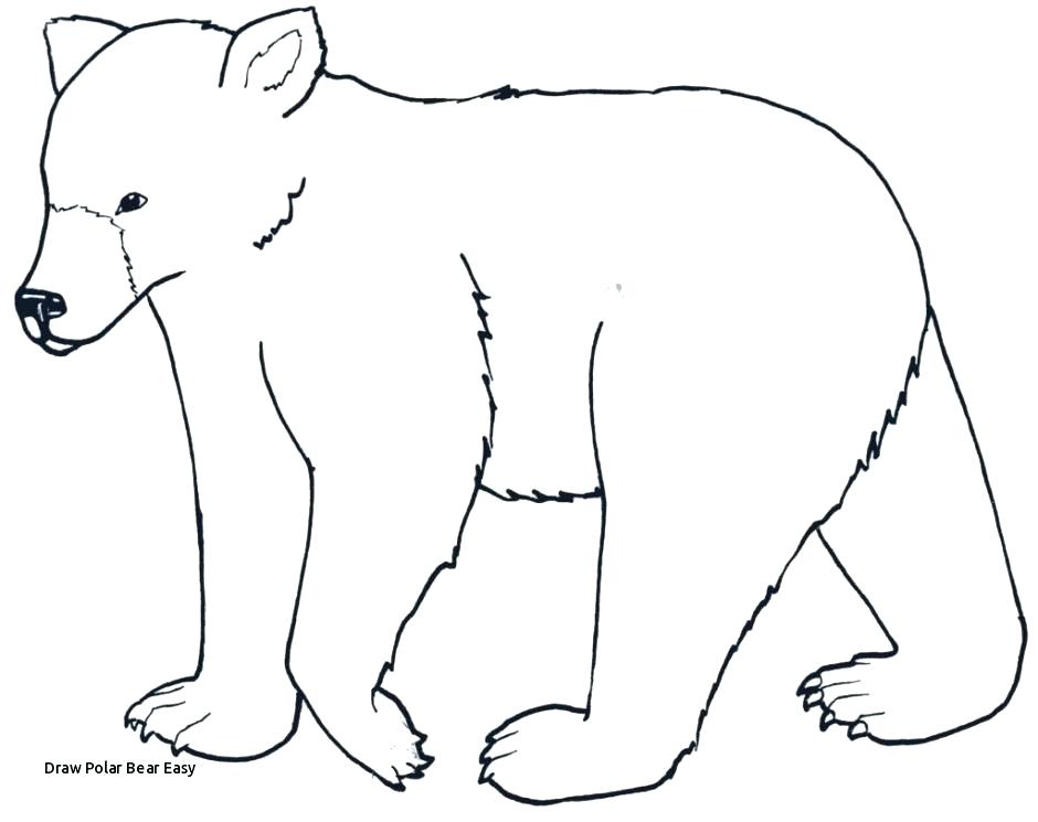 940x745 How To Draw A Bear Easy How To Draw Bears Step