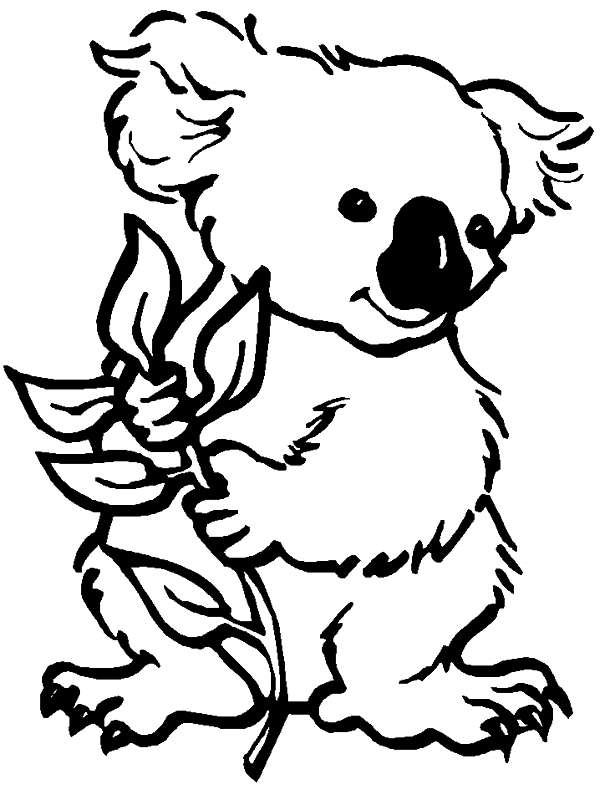600x800 Koala Coloring Pages