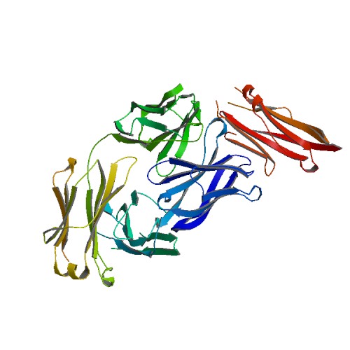 500x500 rcsb pdb