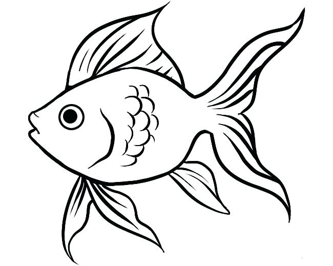 650x519 Fish Fun Cartoon Isolated On White Outline Drawing Dragon Koi