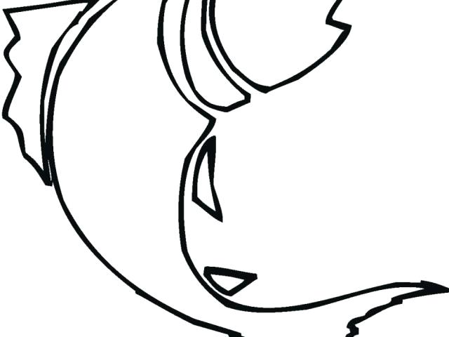 640x480 Simple Fish Drawing Free Simple Fish Line Drawing