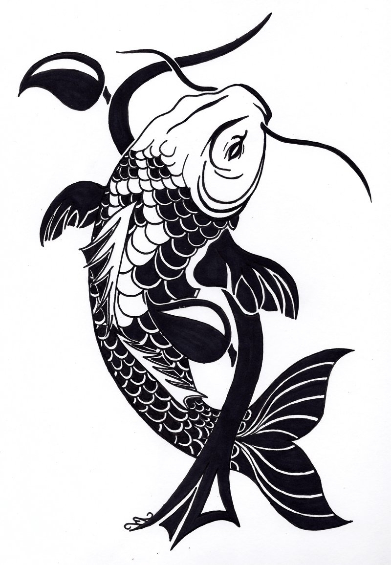 800x1156 Tribal Fish Tattoo Designs On Koi Fish Dragon Drawing At Com Free