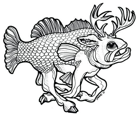474x393 Fish Outline Drawing Collection Of Creative Vector Black Fish