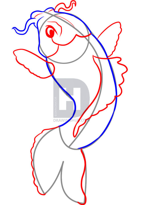 510x720 How To Draw A Koi, Step