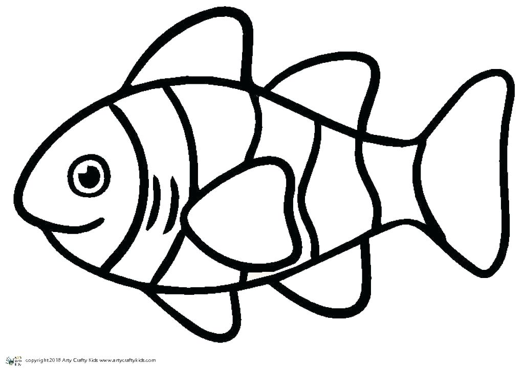 1024x724 Koi Fish Outline Outline Of A Fish Clown Arty Crafty Kids Drawing