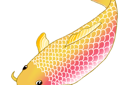 450x300 Twin Drawing Koi Fish, Picture