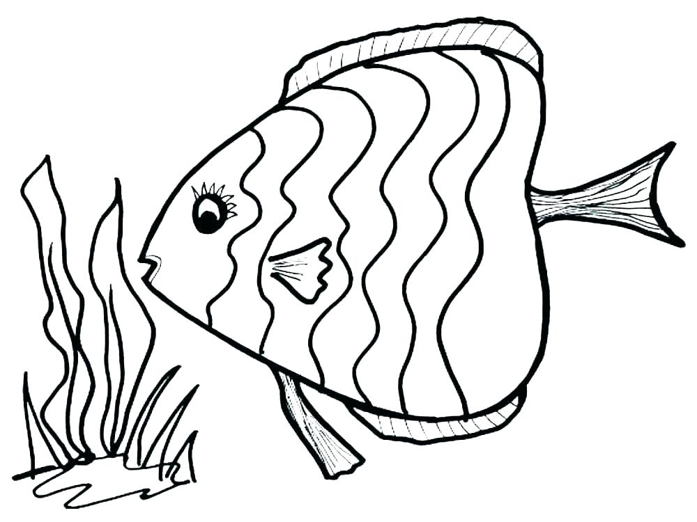 1000x750 Fish Outline Drawing