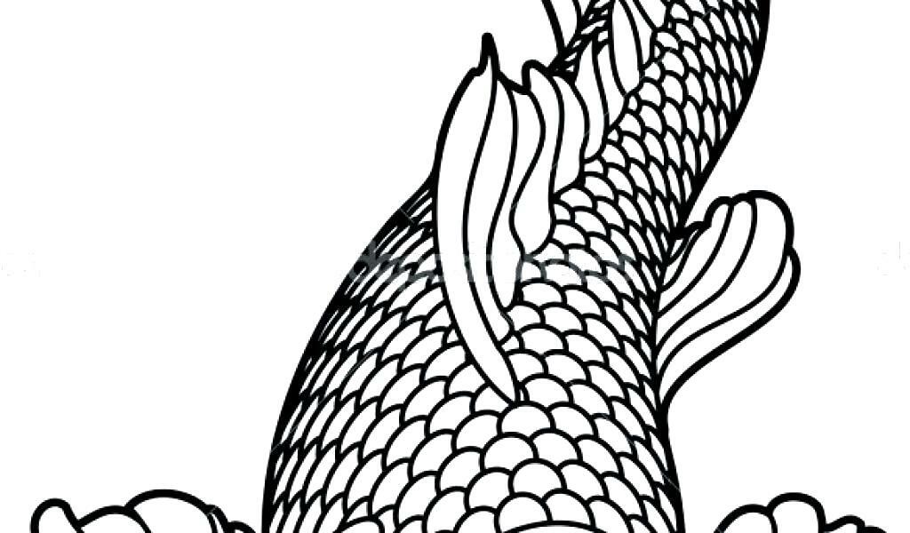 1024x600 Koi Fish Coloring Drawing