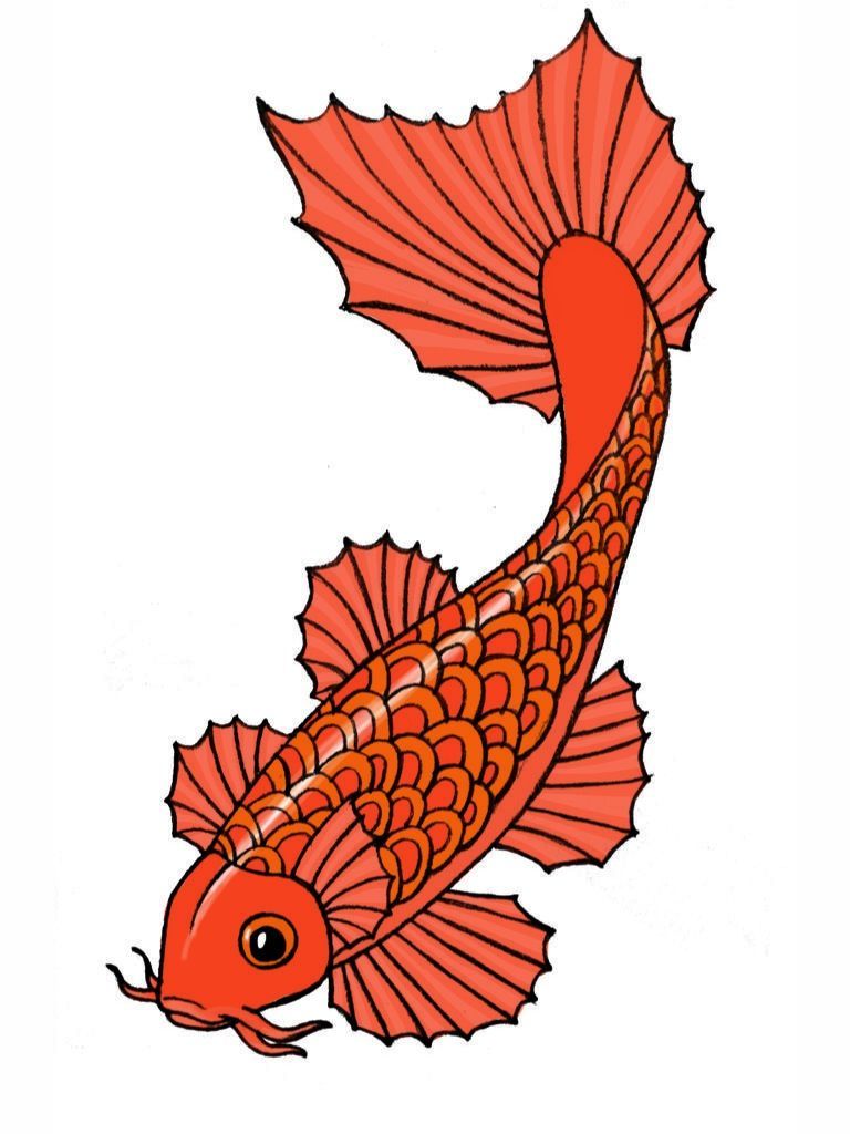 768x1024 Draw A Koi Fish A Few Of My Favorite Things Koi Art, Fish Art