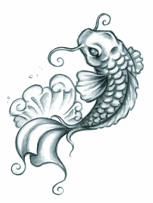 536x709 Koi Fish Tattoo Drawing Images In Collection