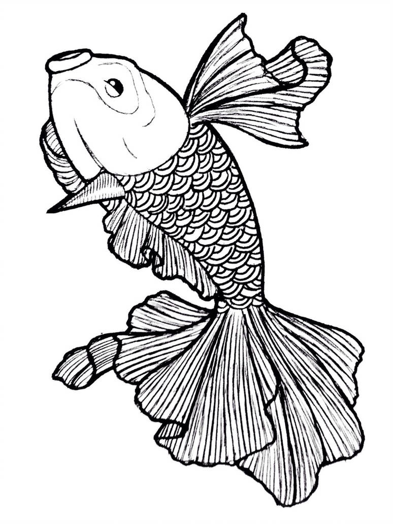 774x1032 Koi Goldeen