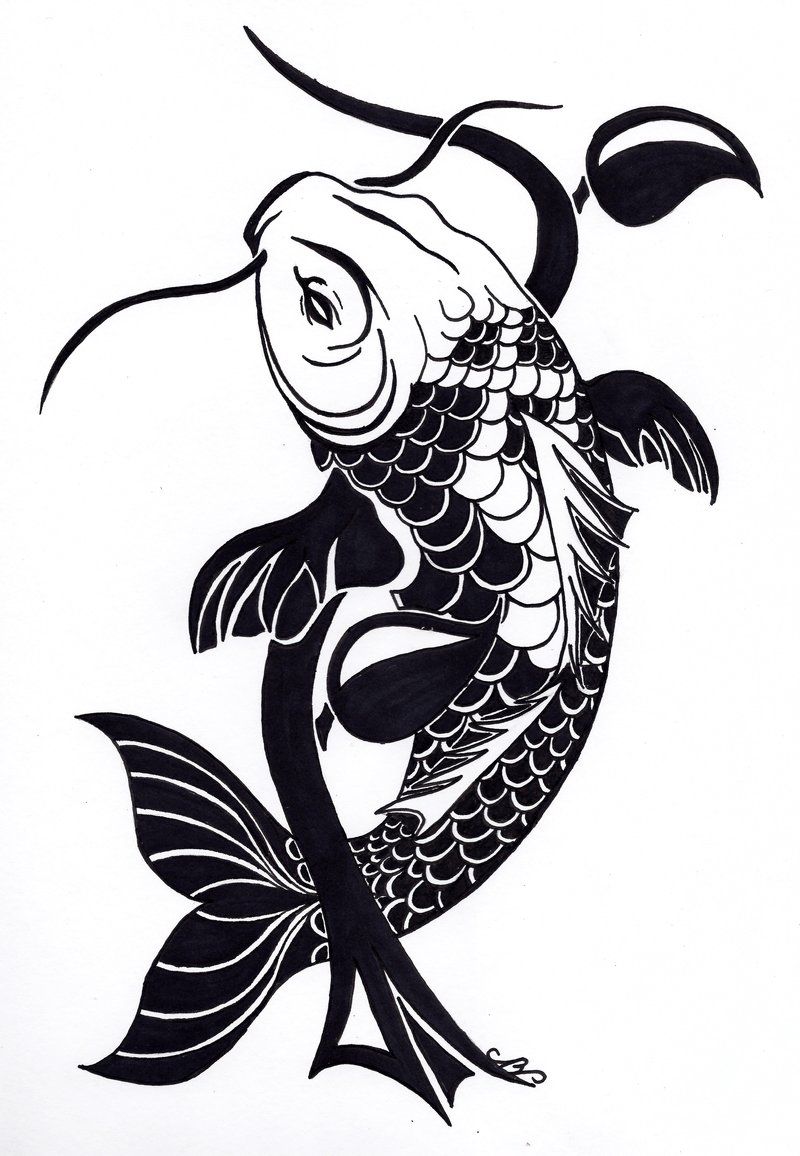 800x1156 Tribal Koi Fish Tattoo Design
