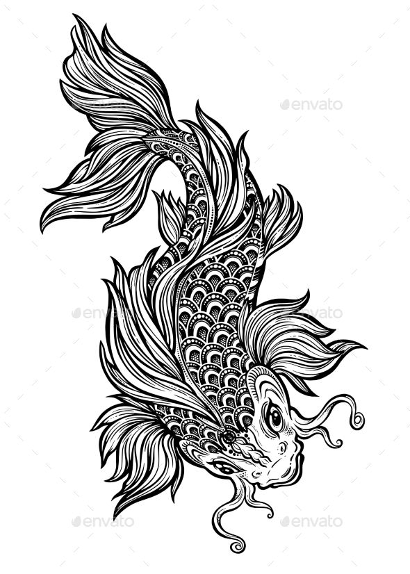 590x826 Beautiful Hand Drawn Swimming Koi Carp Fish Line Style Ornate