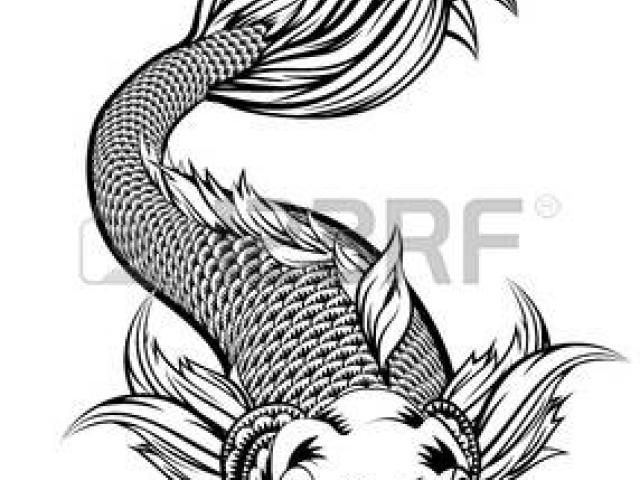 640x480 Drawn Koi Carp Monster Fish