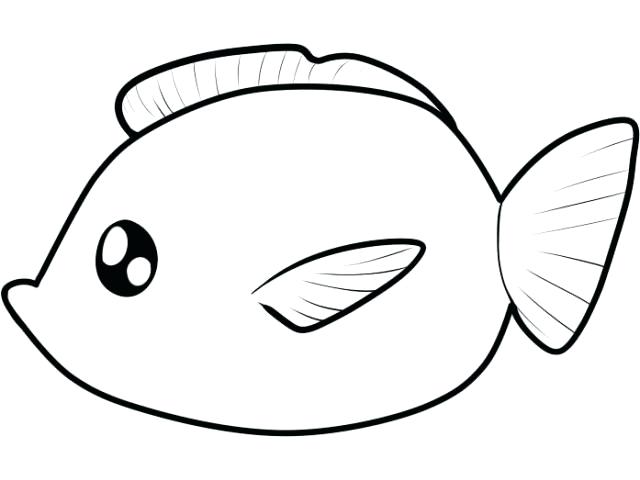 640x480 Simple Fish Drawing Simple Fish Drawing X Simple Koi Fish Drawing