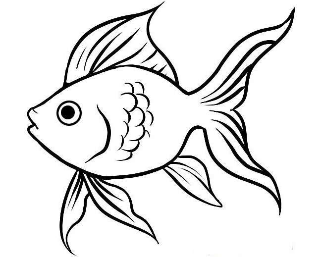 Koi Fish Drawing Outline | Free download on ClipArtMag