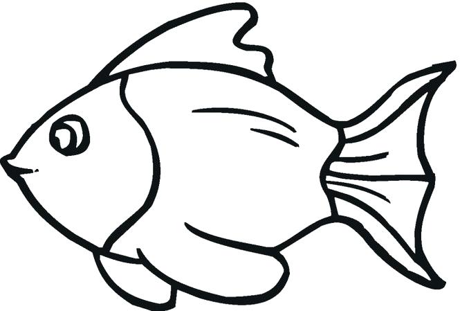 665x449 Outline Of A Fish