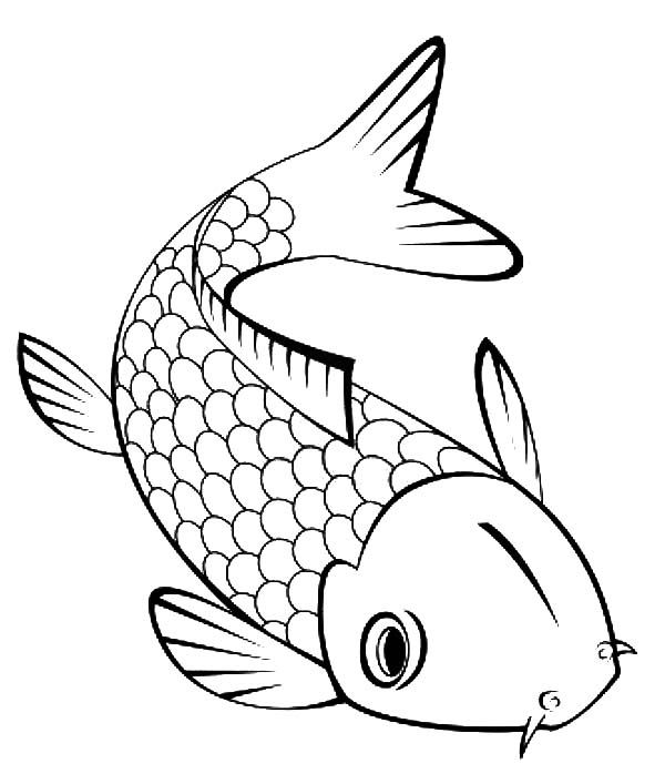 600x707 Cute Little Koi Fish Coloring Pages Fish Fish Coloring
