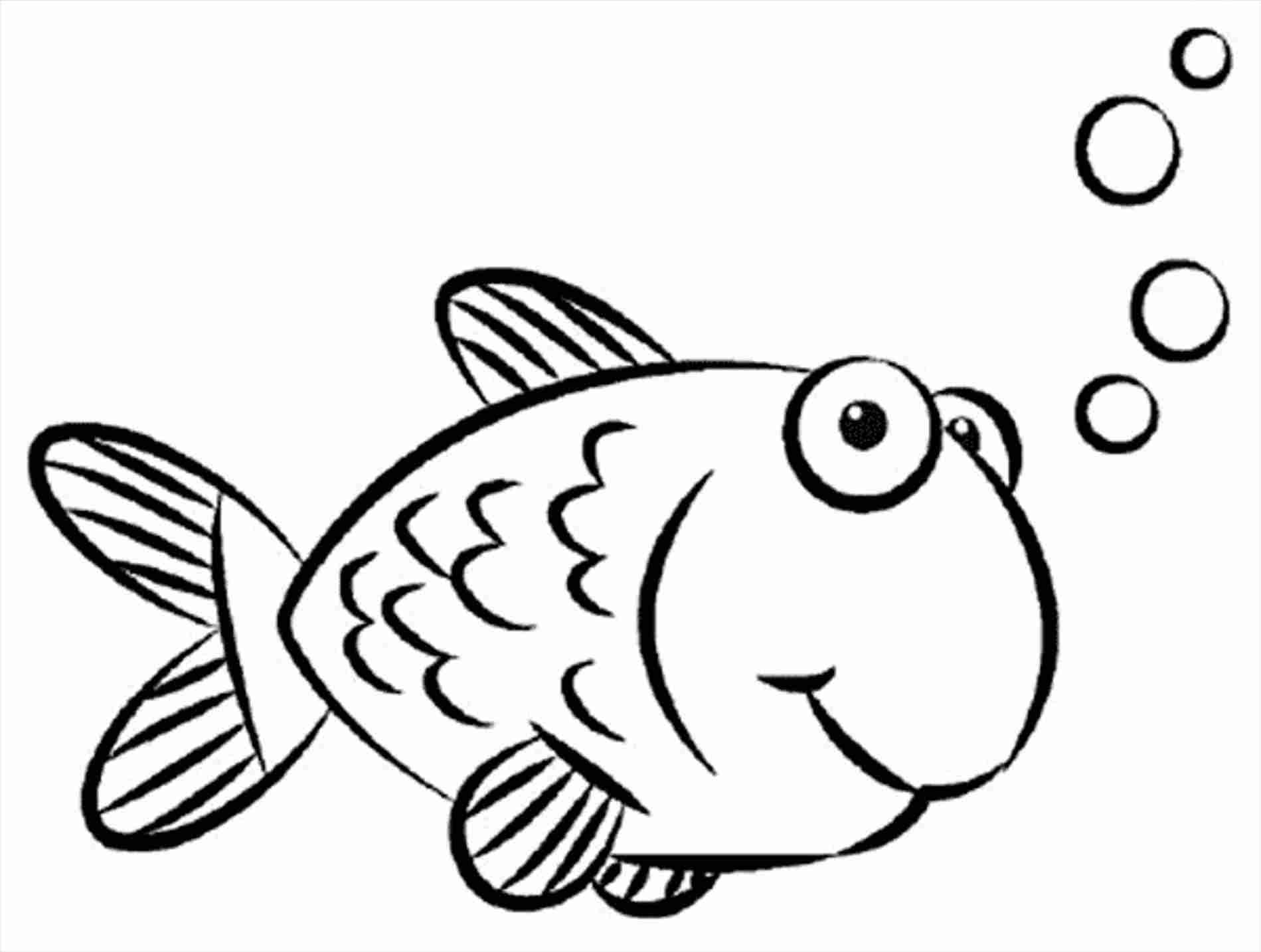 Koi Fish Drawing Simple