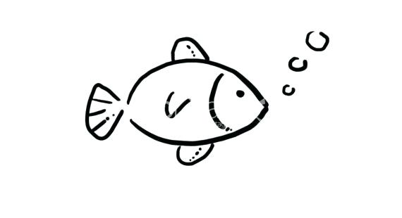 570x310 Easy Fish Drawing