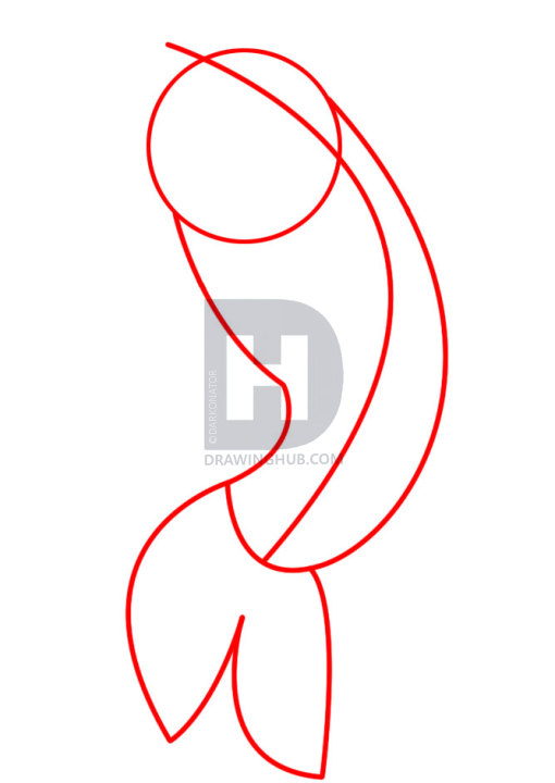 510x720 How To Draw A Koi, Step