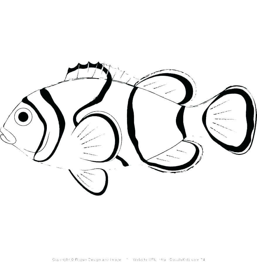 878x895 Small Fish Drawing Simple Fish Drawing Small Koi Fish Drawing
