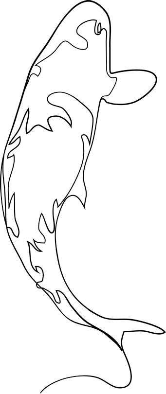 341x810 Koi Fish
