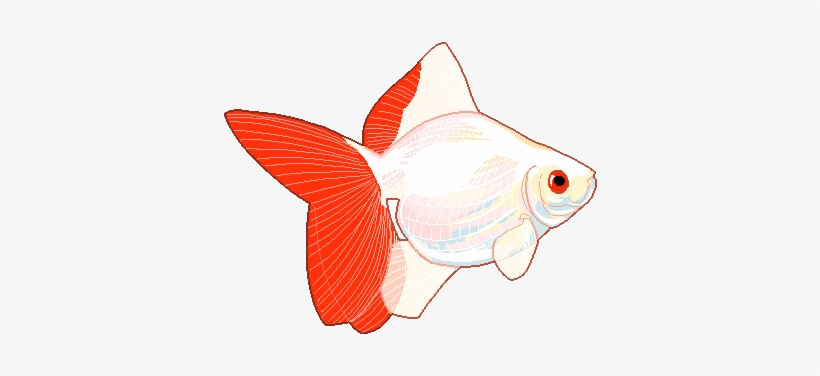 820x376 Silhouette Fish Clip Art