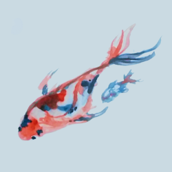 250x250 Fish Watercol Tumblr