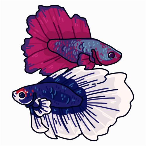 500x500 Betta Drawing Angry Huge Freebie! Download For Powerpoint