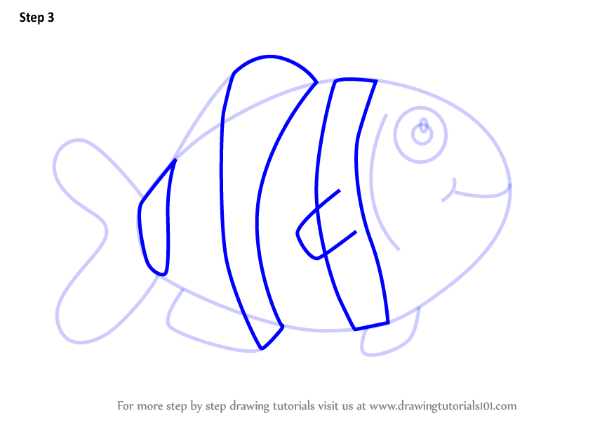848x602 Learn How To Draw A Barb Fish For Kids