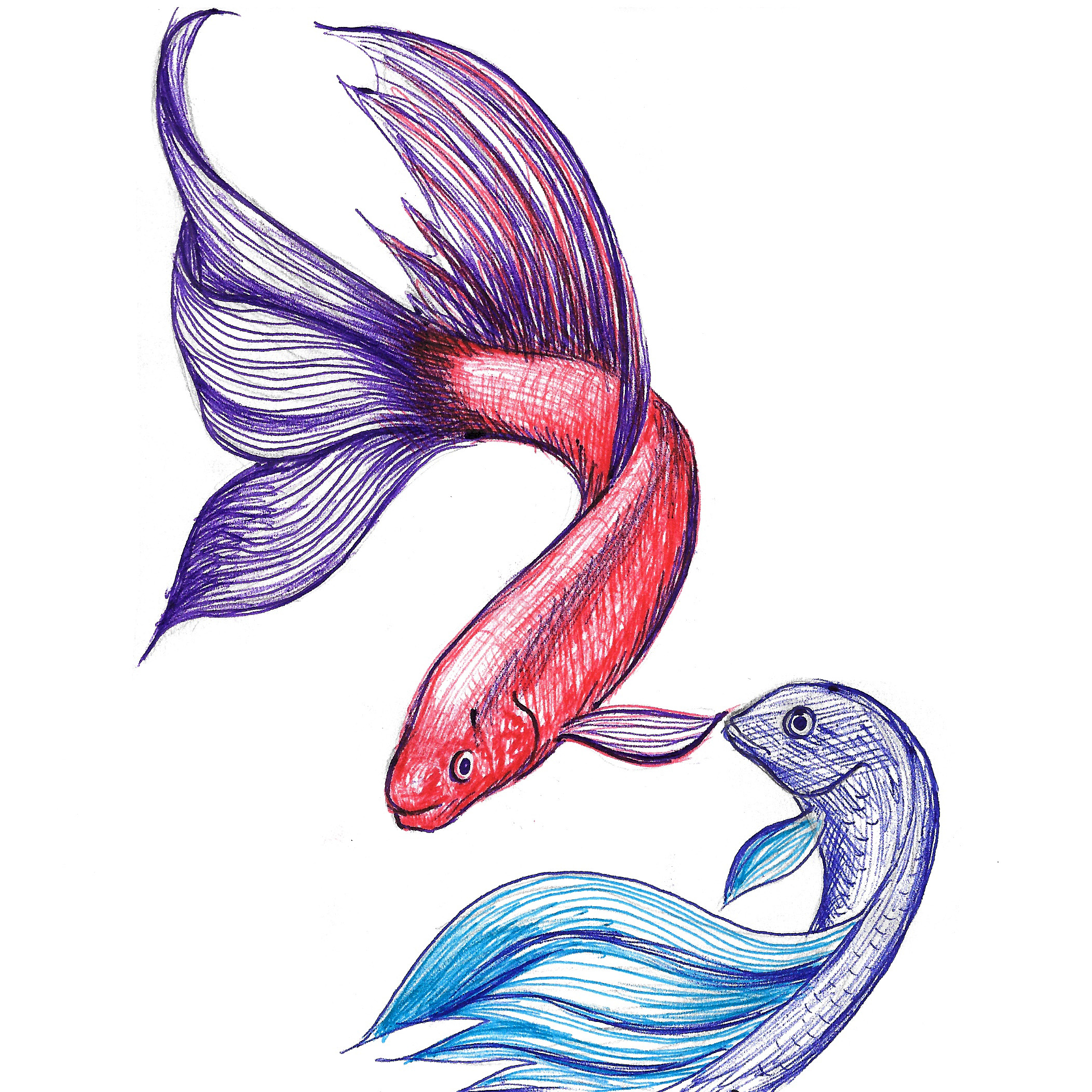 2104x2104 Huge Collection Of 'colored Fish Drawing' Download More Than
