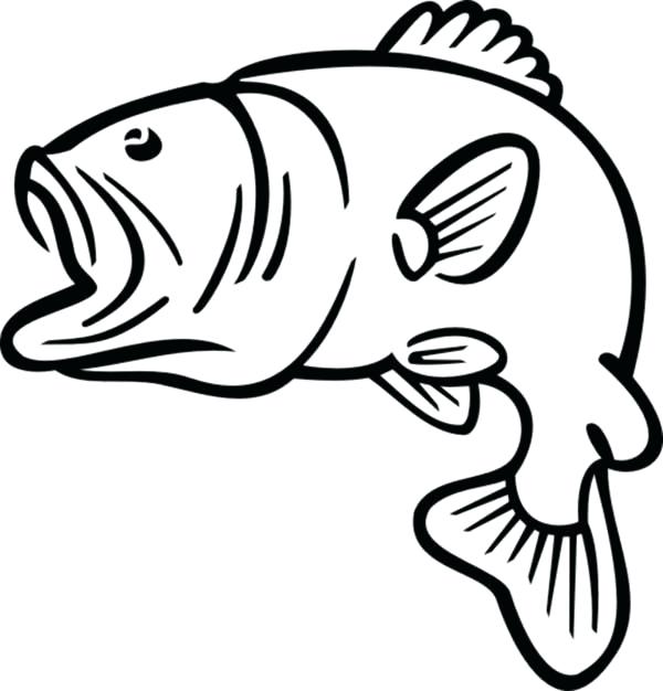600x626 Bass Fish Outline Coloring Pages Best Place To Color Scroll Saw
