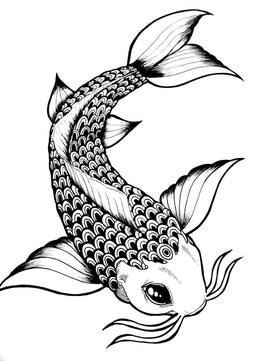 900x1214 Koi Fish Drawing Outline