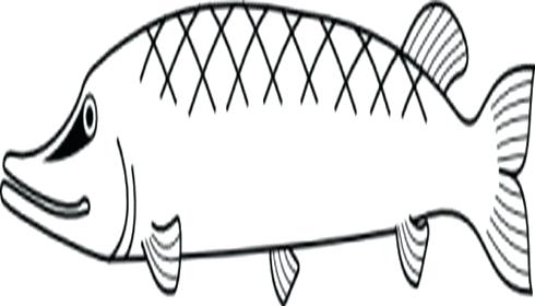 490x280 Free Coloring Pages Of Fin Of A Fish Clip Art Library Simple Fish