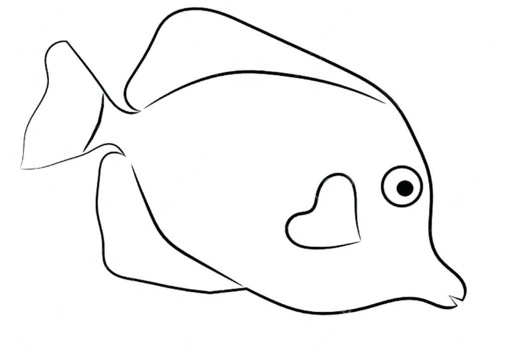 1024x722 Fish Outline Drawing