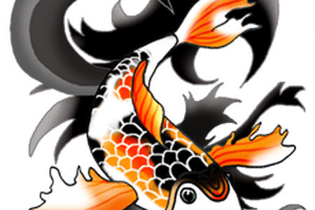 450x300 Koi Fish Drawing Color Pencil