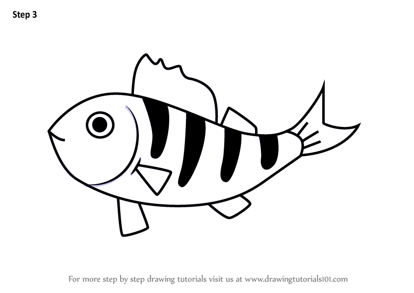 844x598 Learn How To Draw A Perch Fish For Kids
