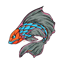 250x250 Twin Drawing Koi Fish Transparent Png Clipart Free Download
