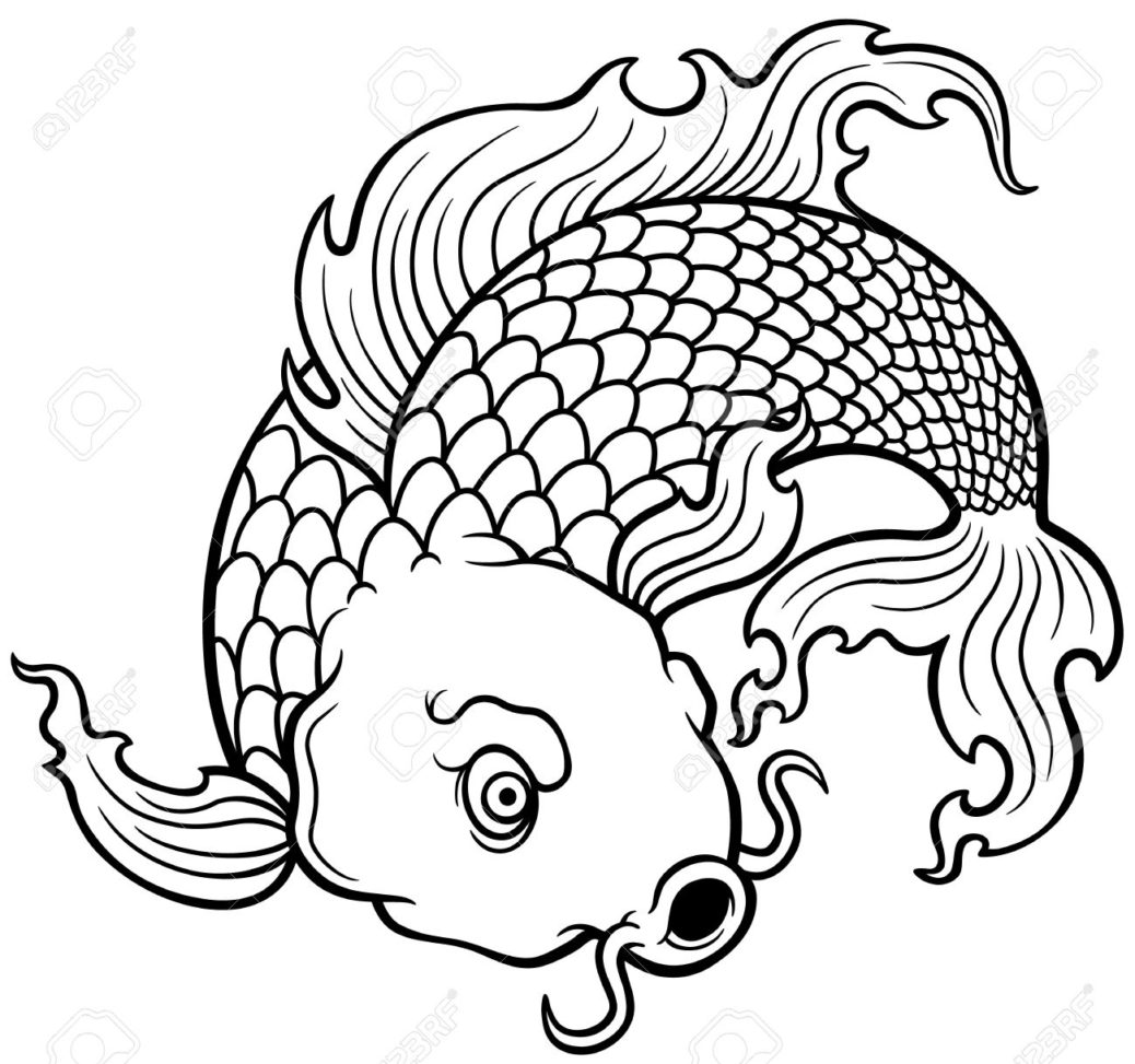 1038x973 Vector Illustration Koi Fish Coloring Book Color With Water Books