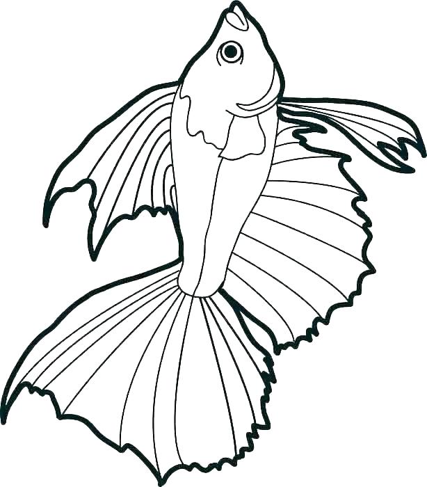 614x700 Coloring Pages Koi Fish Coloring Sheet Free Printable Koi Fish