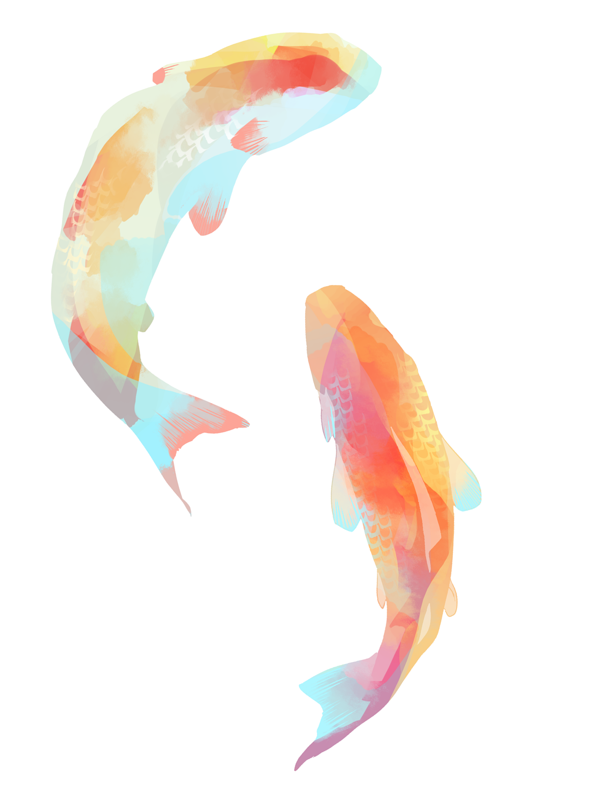 1205x1550 Double Drawing Koi Fish Transparent Png Clipart Free Download