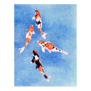 307x307 Koi Fish Drawings Invitations Stationery Zazzle
